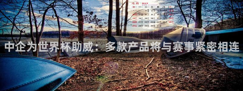 2026世界杯中国队：中企为世界杯助威：多款产品将与赛事紧密相连