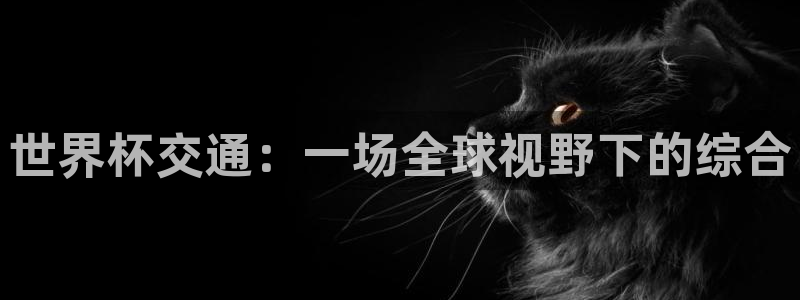 世界杯亚洲区预选赛赛程：世界杯交通：一场全球视野下的综合