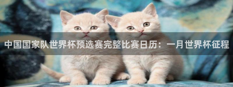 足球世预赛：中国国家队世界杯预选赛完整比赛日历：一月世界杯征程