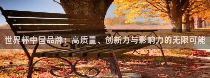 2026世预赛赛程：世界杯中国品牌：高质量、创新力与影响力的无限可能