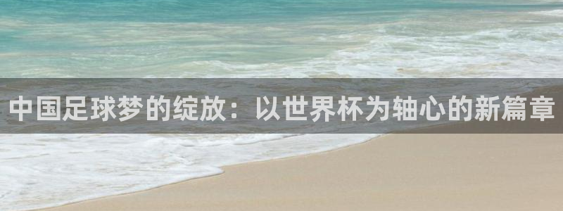 世界杯亚洲区预选赛：中国足球梦的绽放：以世界杯为轴心的新篇章