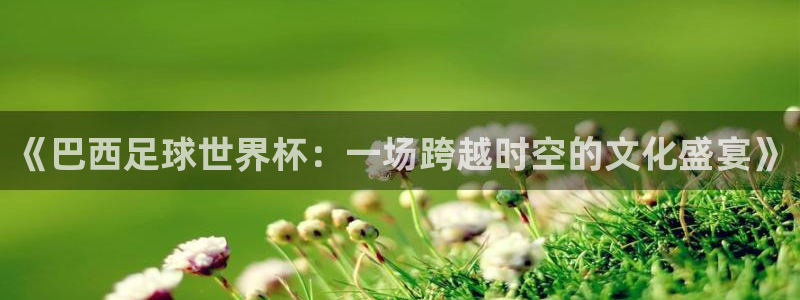 世界杯预选赛排名：《巴西足球世界杯：一场跨越时空的文化盛宴》