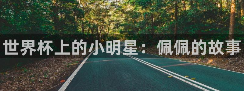 世界杯赛程2026：世界杯上的小明星：佩佩的故事