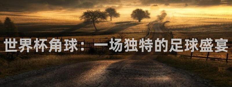 足球世界杯赛程：世界杯角球：一场独特的足球盛宴