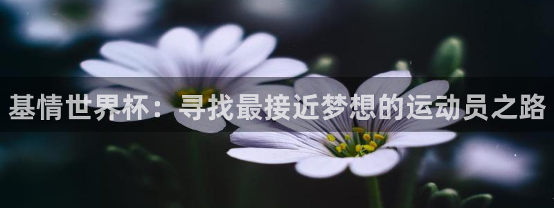 世界杯2026赛制：基情世界杯：寻找最接近梦想的运动员之路