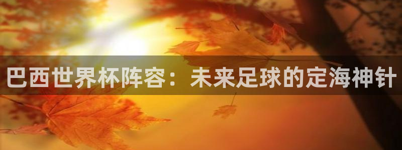 联赛杯直播：巴西世界杯阵容：未来足球的定海神针