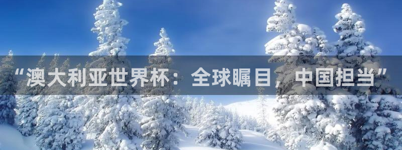 2026世界杯32强对阵图表：“澳大利亚世界杯：全球瞩目，中国担当”