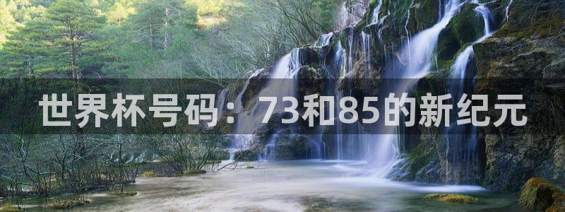美洲杯直播：世界杯号码：73和85的新纪元