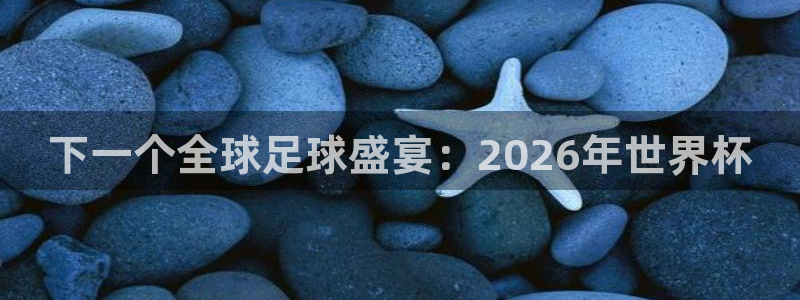今天所有足球赛程表：下一个全球足球盛宴：2026年世界杯