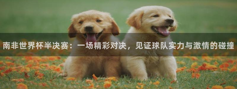 今天所有足球赛程表：南非世界杯半决赛：一场精彩对决，见证球队实力与激情的碰撞