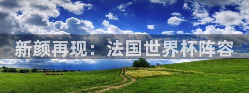 世界杯预选赛欧洲赛区赛程：新颜再现：法国世界杯阵容