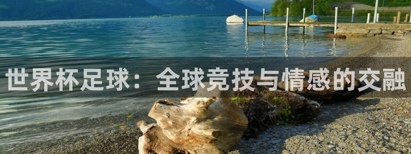 世界杯 直播：世界杯足球：全球竞技与情感的交融