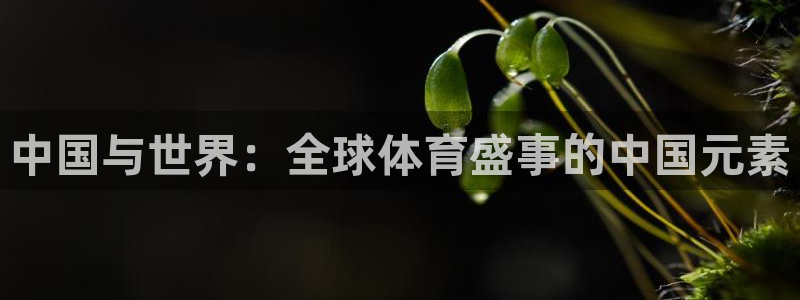 看世界杯：中国与世界：全球体育盛事的中国元素