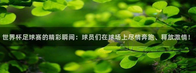 西超杯直播：世界杯足球赛的精彩瞬间：球员们在球场上尽情奔跑、释放激情！