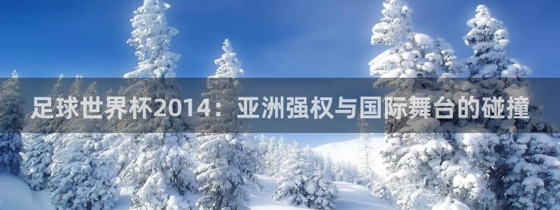 26世界杯：足球世界杯2014：亚洲强权与国际舞台的碰撞