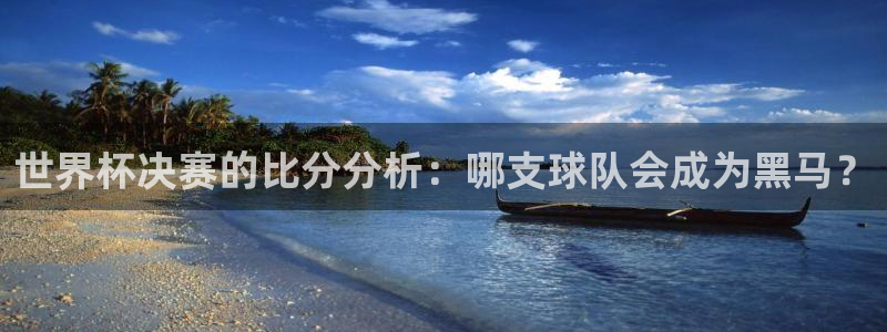 欧洲世界杯预选赛赛程：世界杯决赛的比分分析：哪支球队会成为黑马？